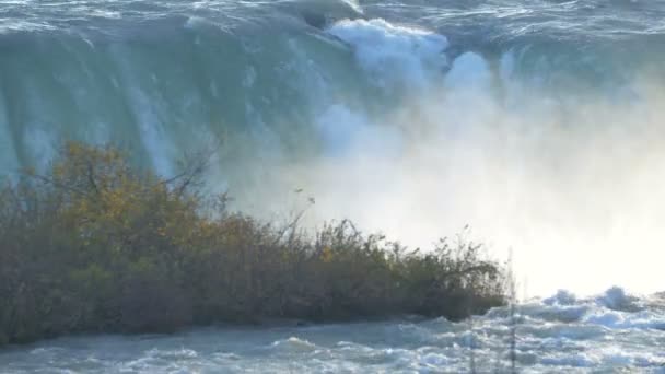 Water Flowing Waterfall — Stock Video