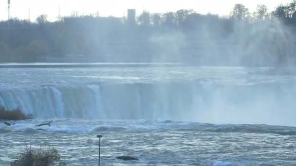 Water Stromen Niagara Watervallen — Stockvideo