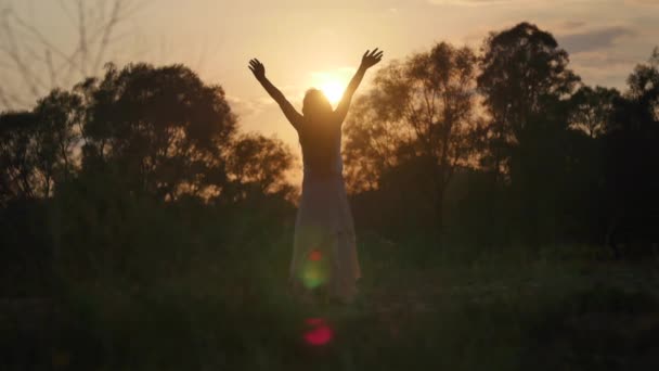 Silhouet Van Een Meisje Zon — Stockvideo