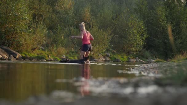 Vrouw Met Honden Komt Uit Een Rivier — Stockvideo