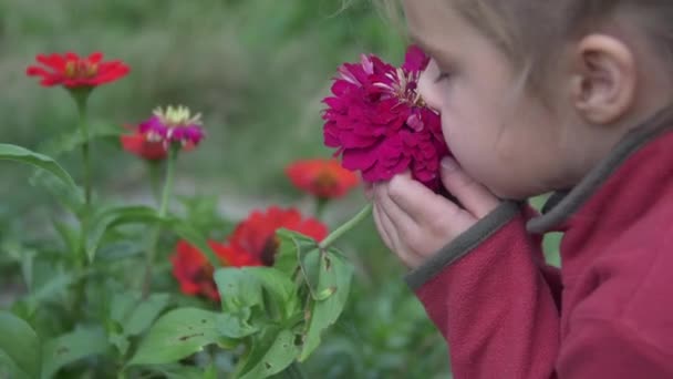 女の子の匂いと抱擁の花 — ストック動画