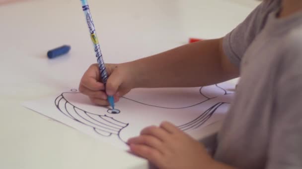 Niño Colorear Una Ballena Vídeo De Stock