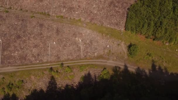 Barrage Lac Colibita — Video