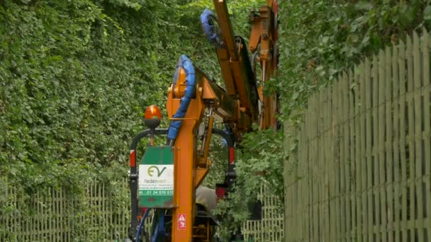 Maschine Schneidet Hecke Hellen Sonnenlicht — Stockvideo