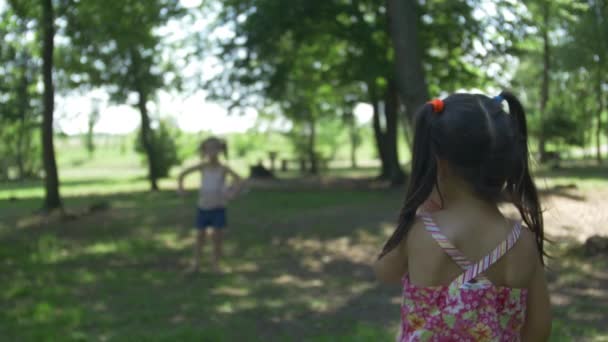 Les Filles Jouent Badminton Dans Parc Été — Video