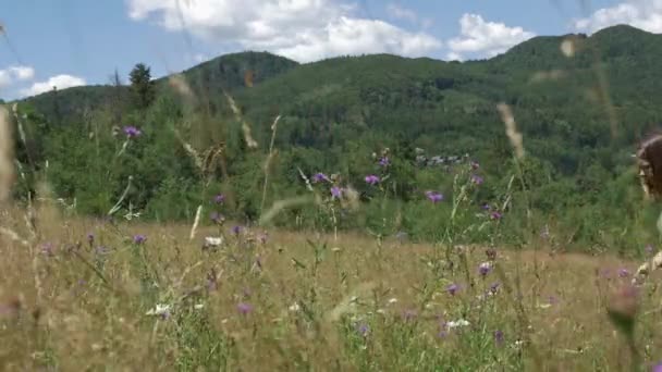 Mère Fille Cueillant Des Fleurs Sur Champ — Video