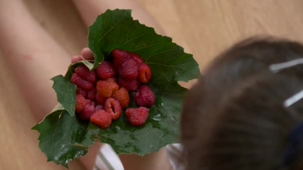 Kind Hält Himbeeren Einem Blatt — Stockvideo