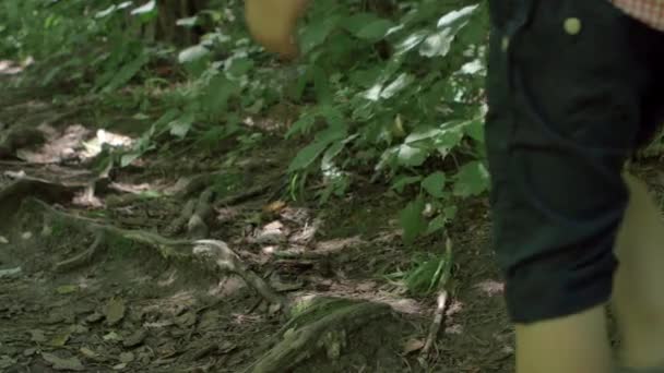 Patas Niño Caminando Por Sendero Forestal — Vídeos de Stock
