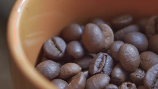 Granos Café Cayendo Una Boul — Vídeo de stock