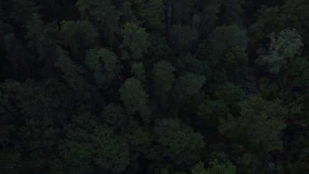 Flygfoto Över Naturreservatet Turda Keys — Stockvideo