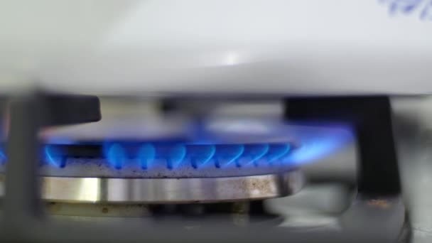 Gas Burner Flames — Stock Video