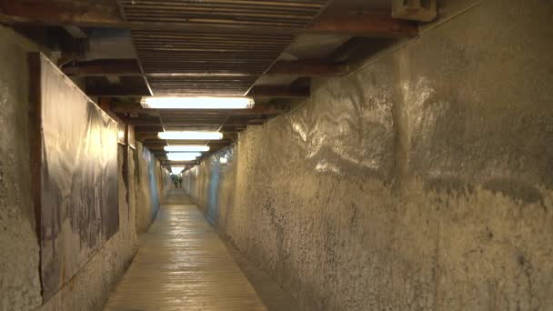Turda Tuz Madeni Nin Salonundaki Tuzlu Duvarlar — Stok video