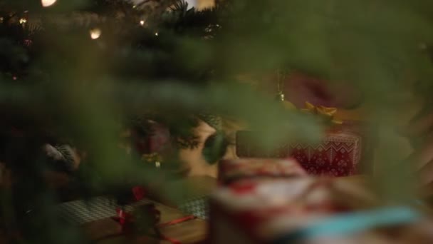 Tomando Regalo Debajo Del Árbol Navidad — Vídeo de stock