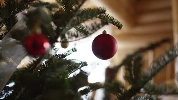 Unrecognizable Woman Opening Christmas Gifts Christmas Tree Secvență video de stoc