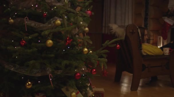 Frau Entspannt Sich Der Nähe Eines Weihnachtsbaums — Stockvideo