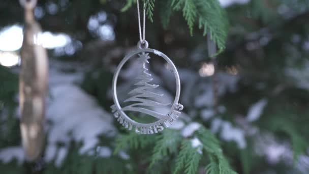 Silver Christmas Ornament Coniferous Branch — Stock Video