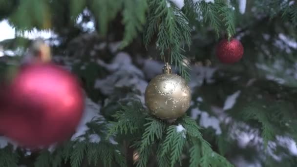 Kerstballen Naaldhout Tak — Stockvideo