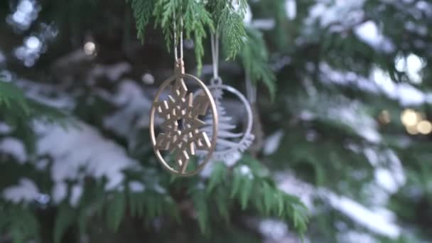 크리스마스 나뭇가지 — 비디오