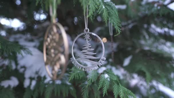 Christmas Ornaments Coniferous Branch — Stock Video