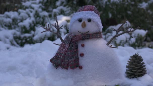 Snowman Luces Navidad — Vídeos de Stock