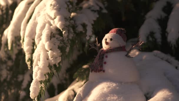 Muñeco Nieve Cerca Ramas Nevadas — Vídeo de stock