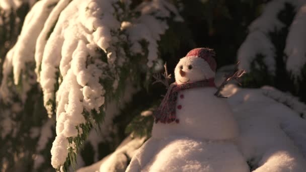 Boneco Neve Perto Ramos Nevados — Vídeo de Stock