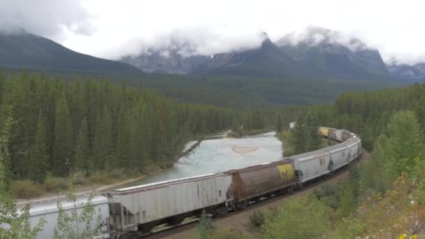 在加拿大太平洋铁路上滚动的货运列车 — 图库视频影像