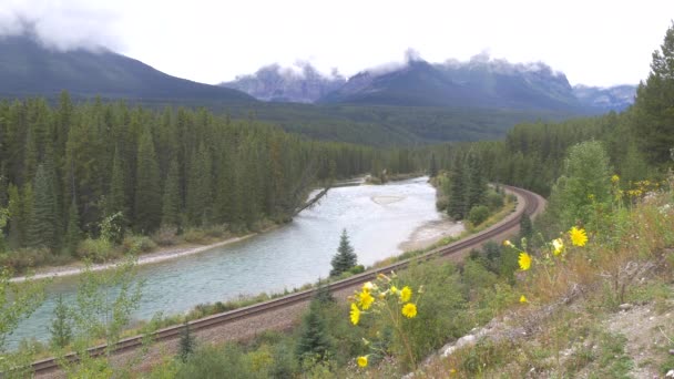 Krajobraz Parku Narodowym Banff — Wideo stockowe