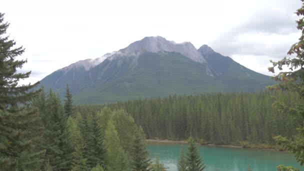 Picos Montaña Parque Nacional Banff — Vídeos de Stock