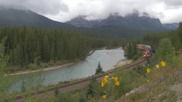Comboio Carga Rolando Parque Nacional Banff — Vídeo de Stock