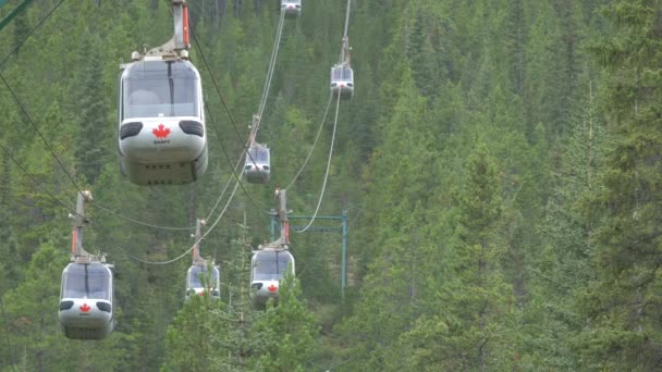 Seilbahn Fährt Über Einen Wald — Stockvideo