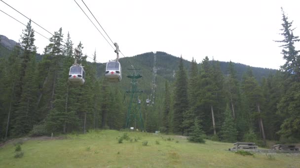 Cable Cars Running Banff National Park — Stock Video