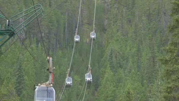 Teleféricos Sobre Floresta Coníferas — Vídeo de Stock