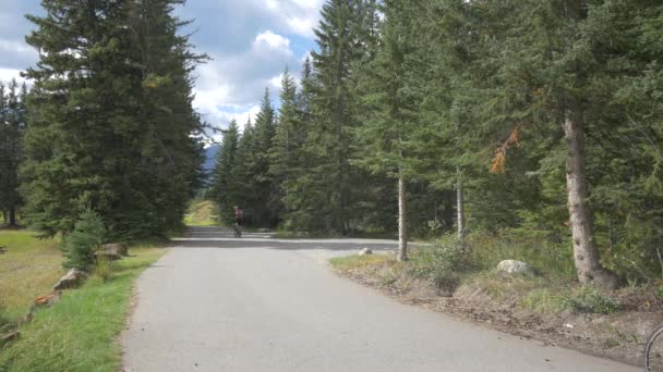 Radfahren Auf Einer Straße Wald — Stockvideo