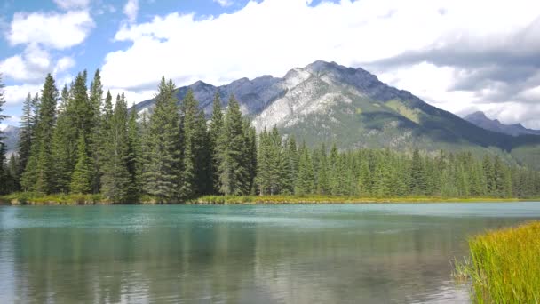 Rivière Coulant Travers Les Contreforts Des Montagnes — Video