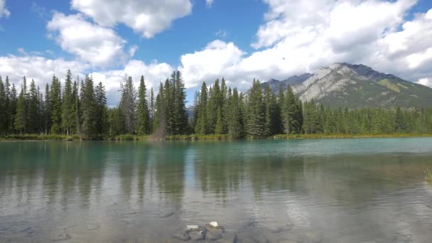 Bow River Flowing Banff National Park — Stok video
