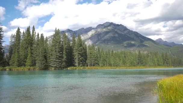 Pan Right Bow River Flowing Banff National Park — Video Stock