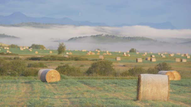 Rechts Neben Einem Feld Mit Heuballen — Stockvideo