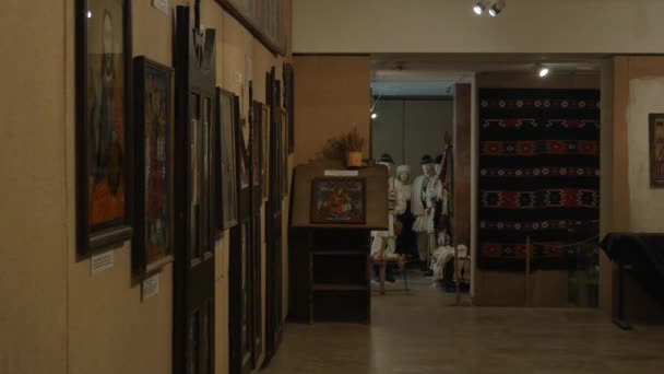 Imagens Exposições Tradicionais Museu — Vídeo de Stock