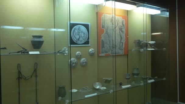 Artefacts Dans Musée — Video