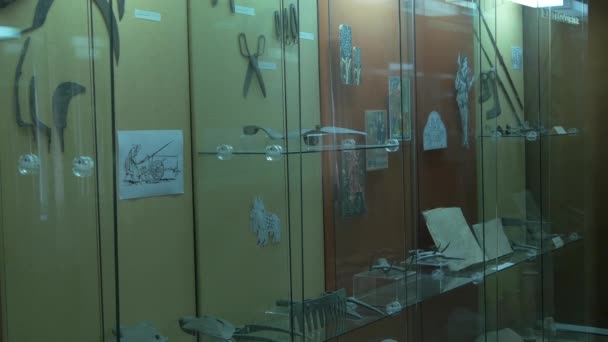 Escaparate Con Artefactos Alba Iulia Rumania — Vídeo de stock