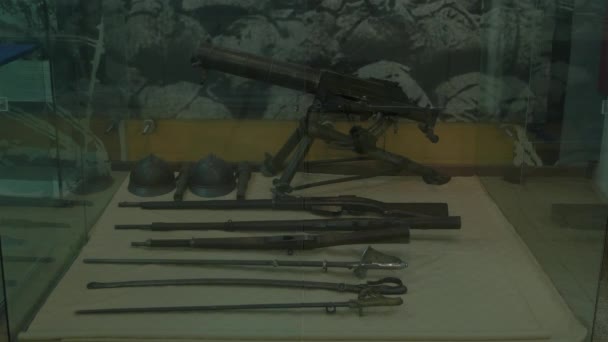 Armas Viejas Museo — Vídeo de stock