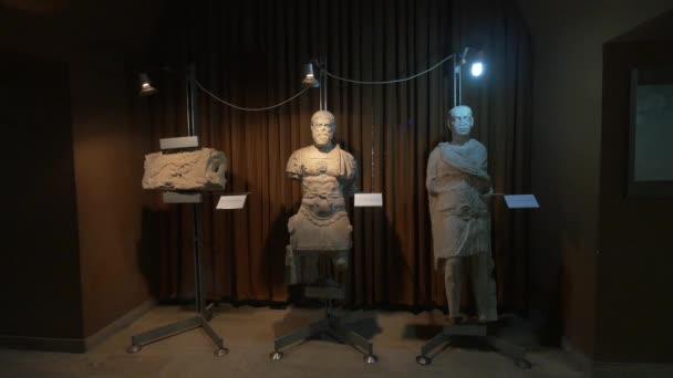 Sculptures Pierre Dans Musée — Video