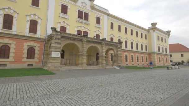 Facciata Del Museo Dell Unione Alba Iulia — Video Stock