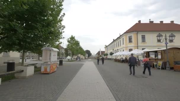 Alba Iulia城堡街 — 图库视频影像