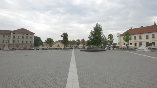 Piazza Della Cittadella Alba Iulia — Video Stock