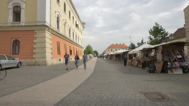 Turisti Visita Alla Cittadella Alba Iulia — Video Stock