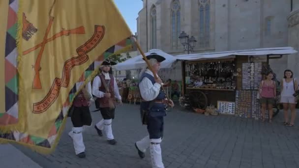 Veranderen Van Wacht Alba Iulia Citadel — Stockvideo