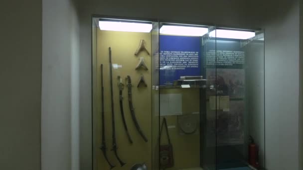 Vitrinas Con Artefactos Museo Unión — Vídeo de stock