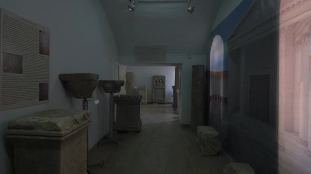 Artefatos Pedra Museu União Alba Iulia — Vídeo de Stock